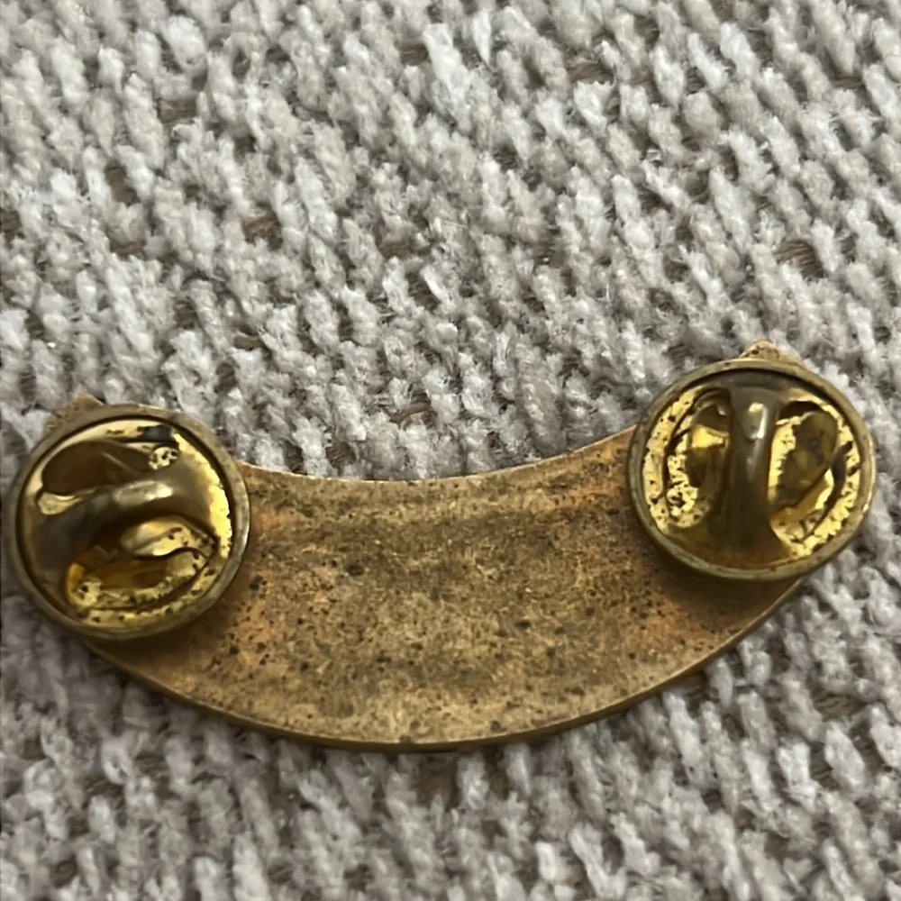 Harley owners group patch pin